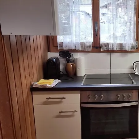 Bellerive - Partial View * 布里恩茨