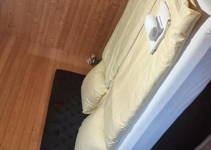 Bellerive - Partial View 公寓 布里恩茨