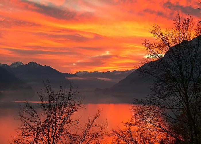 Bellerive - Partial View شقة