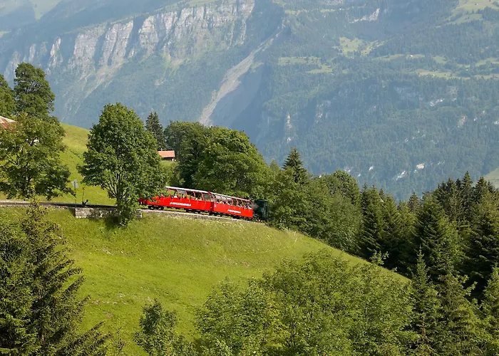 شقة Bellerive - Partial View