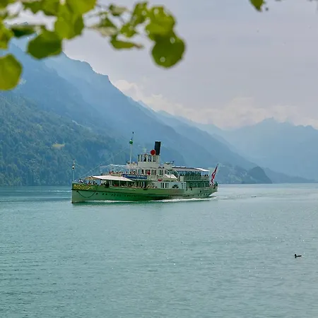 Bellerive - Partial View Brienz (Bern)