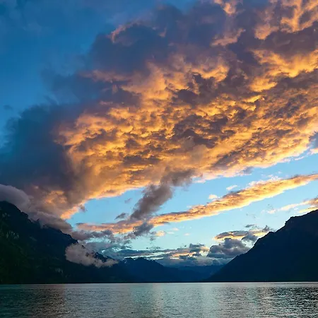 Bellerive - Partial View