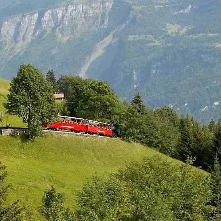 Daire Bellerive - Partial View