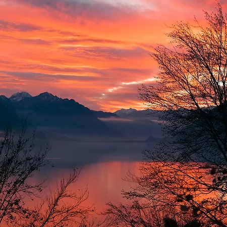 Bellerive - Partial View * Brienz (Bern)